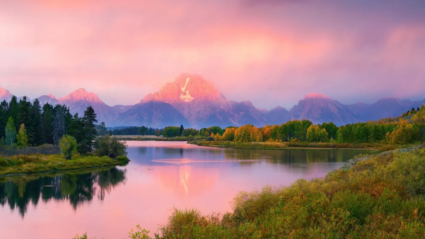 电子高性能